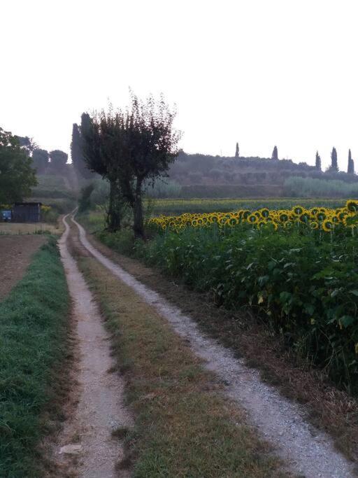 Podere Gian Battaglia Fucecchio Buitenkant foto