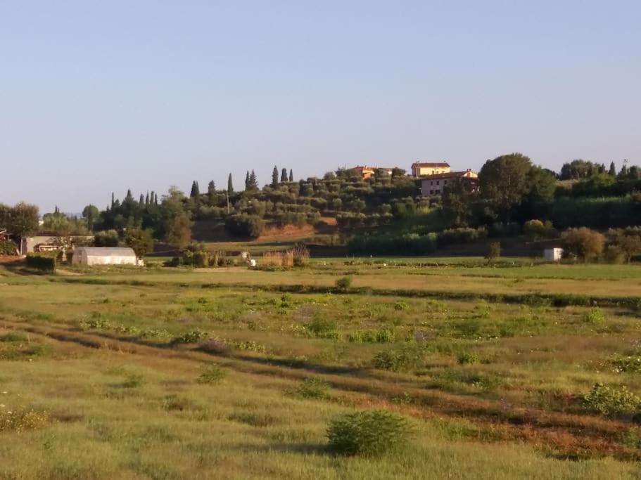 Podere Gian Battaglia Fucecchio Buitenkant foto