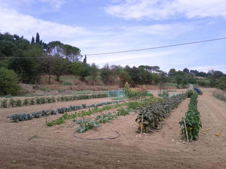 Podere Gian Battaglia Fucecchio Buitenkant foto