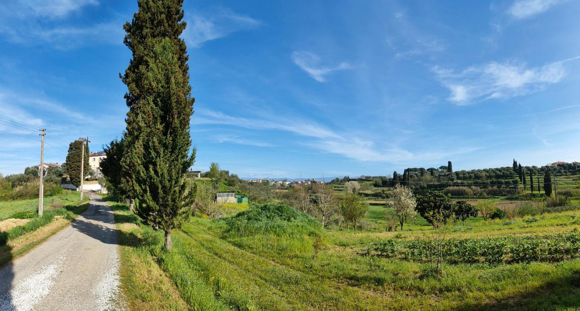 Podere Gian Battaglia Fucecchio Buitenkant foto