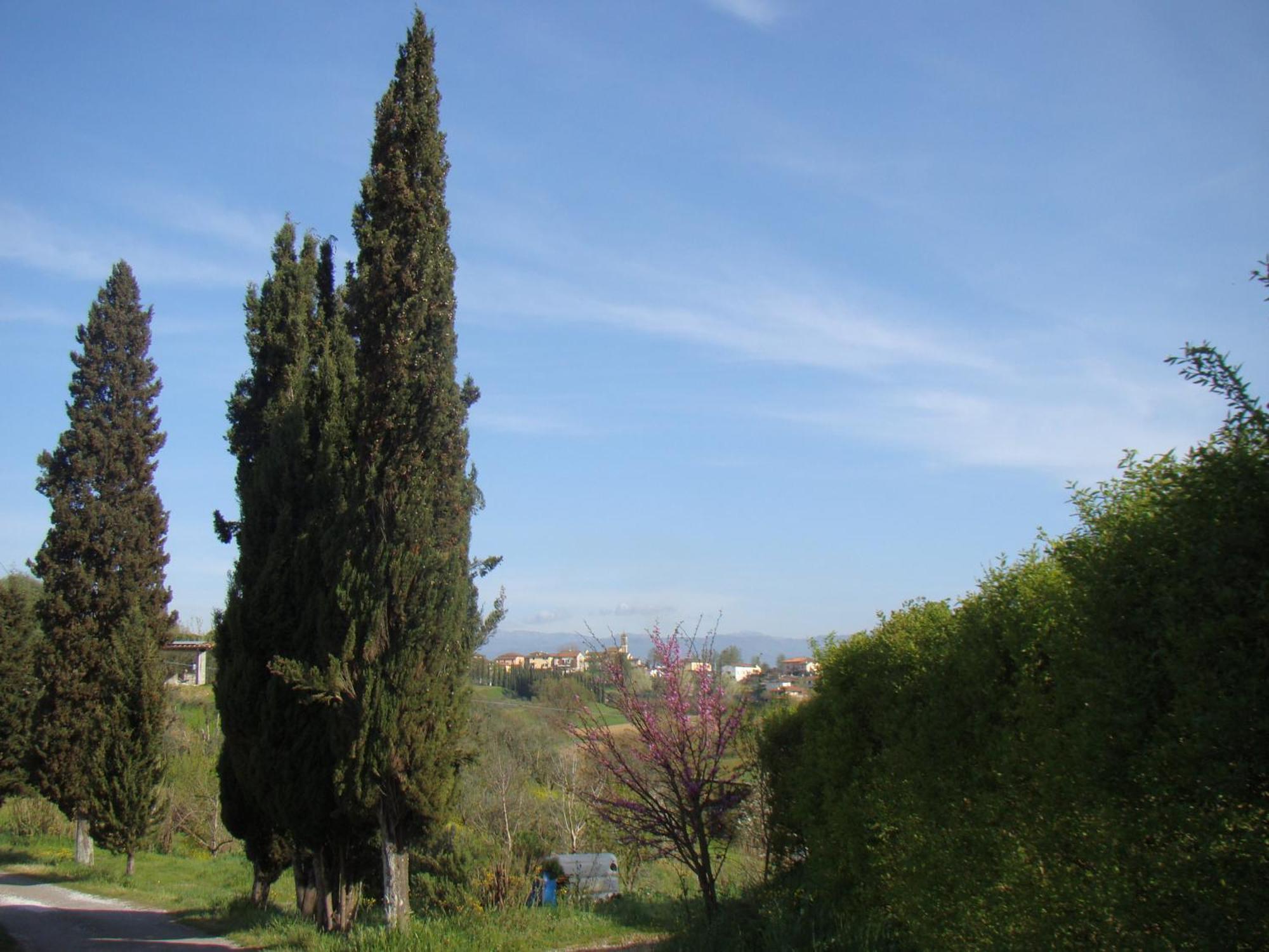 Podere Gian Battaglia Fucecchio Buitenkant foto