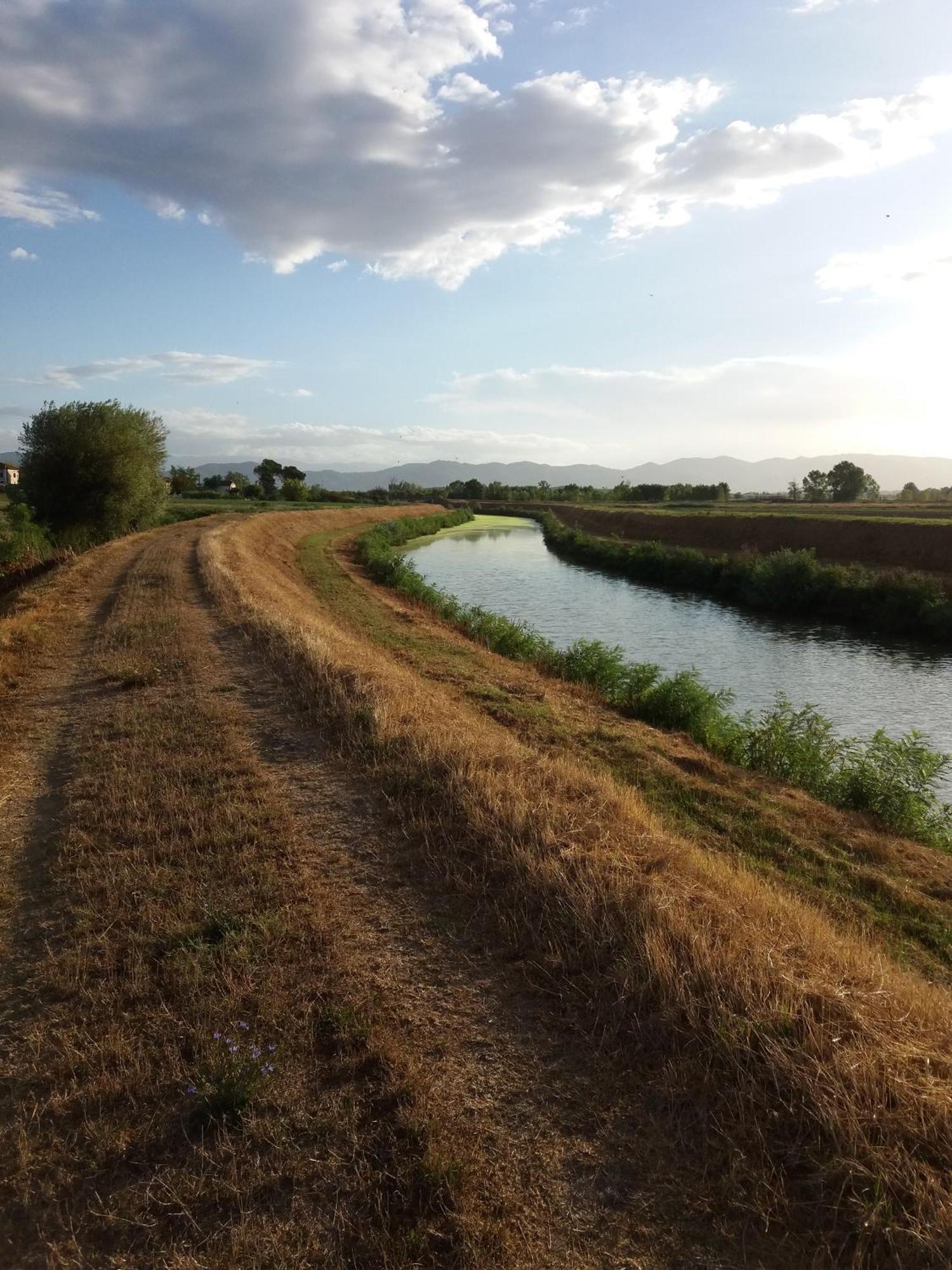 Podere Gian Battaglia Fucecchio Buitenkant foto