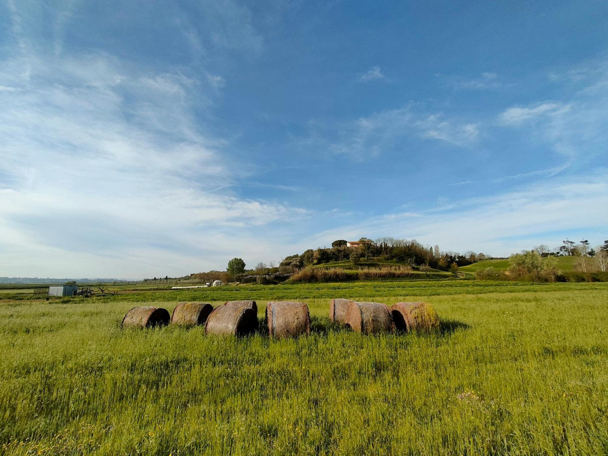 Podere Gian Battaglia Fucecchio Buitenkant foto