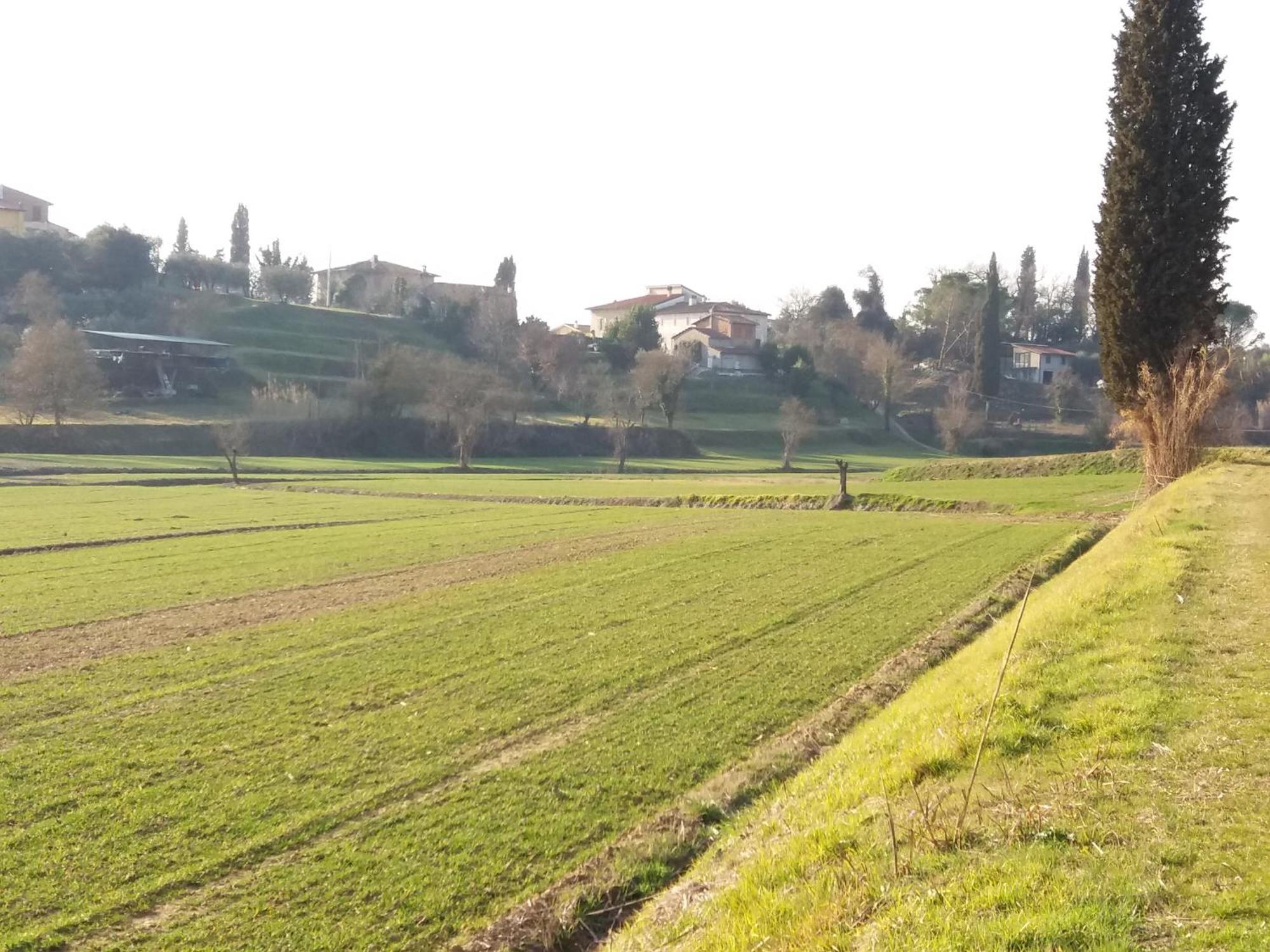 Podere Gian Battaglia Fucecchio Buitenkant foto