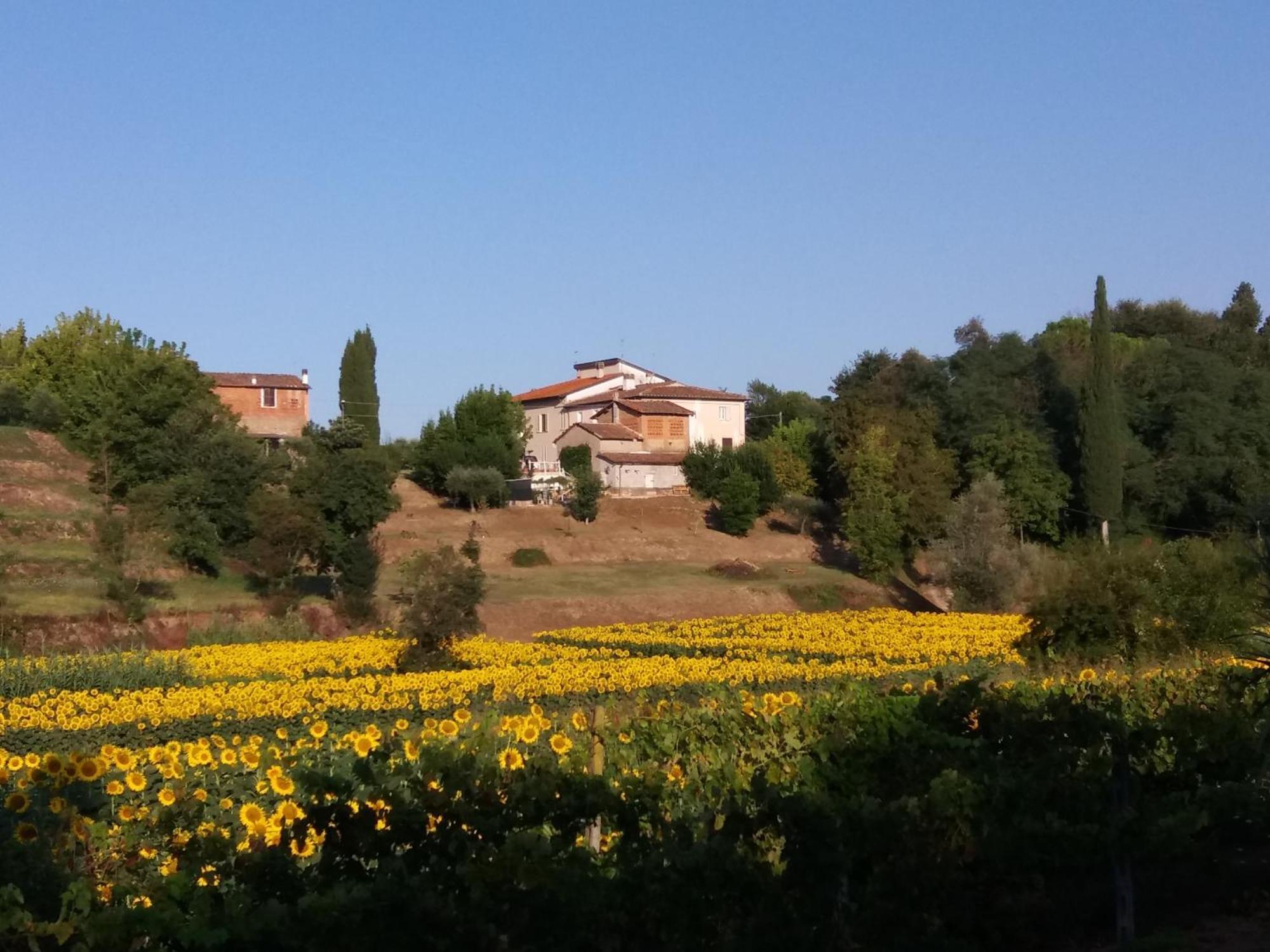 Podere Gian Battaglia Fucecchio Buitenkant foto