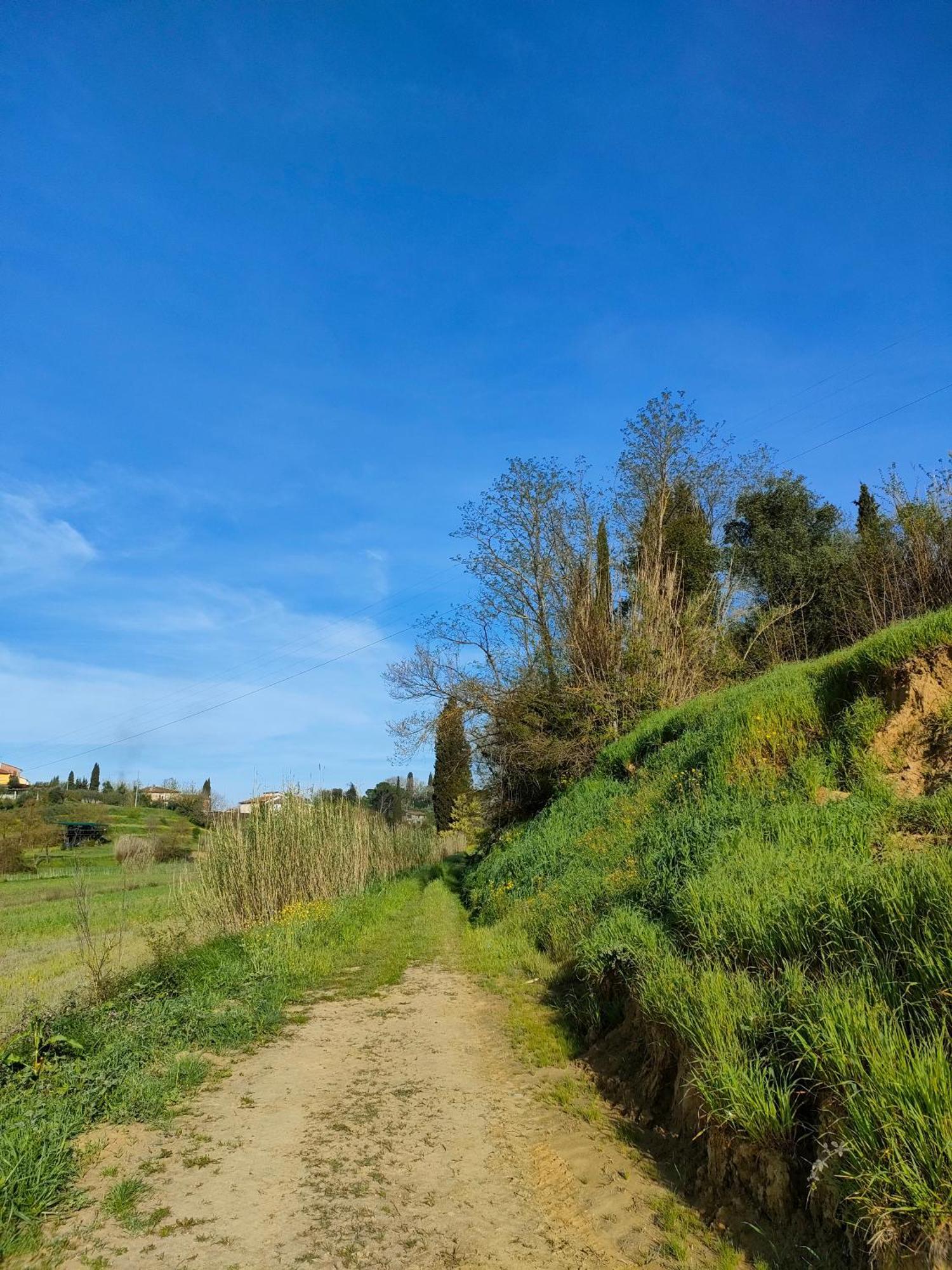 Podere Gian Battaglia Fucecchio Buitenkant foto