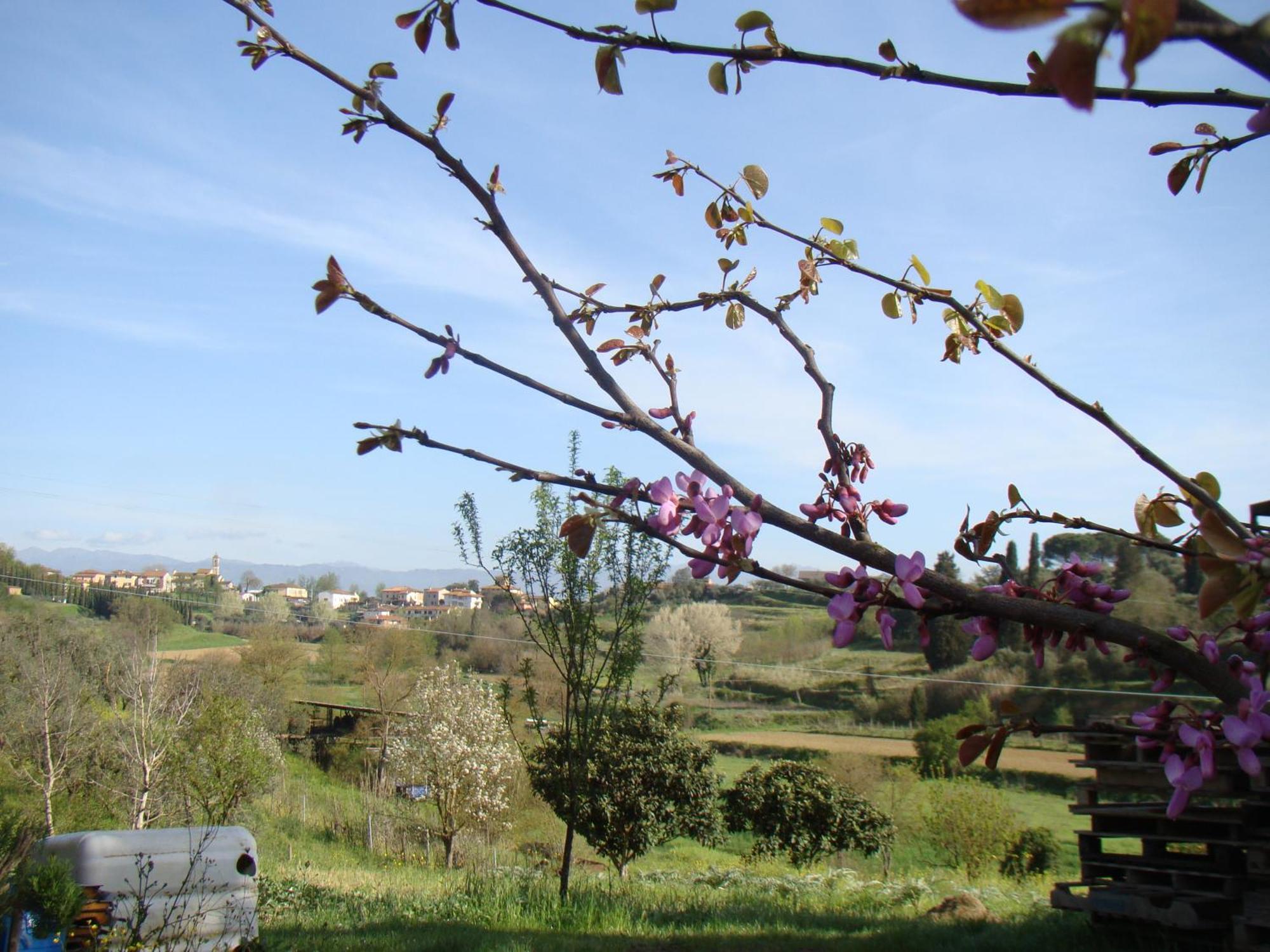 Podere Gian Battaglia Fucecchio Buitenkant foto