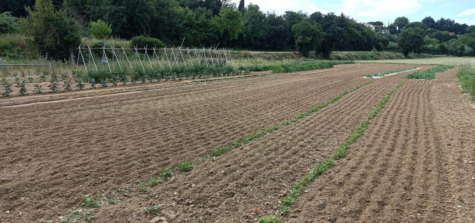 Podere Gian Battaglia Fucecchio Buitenkant foto