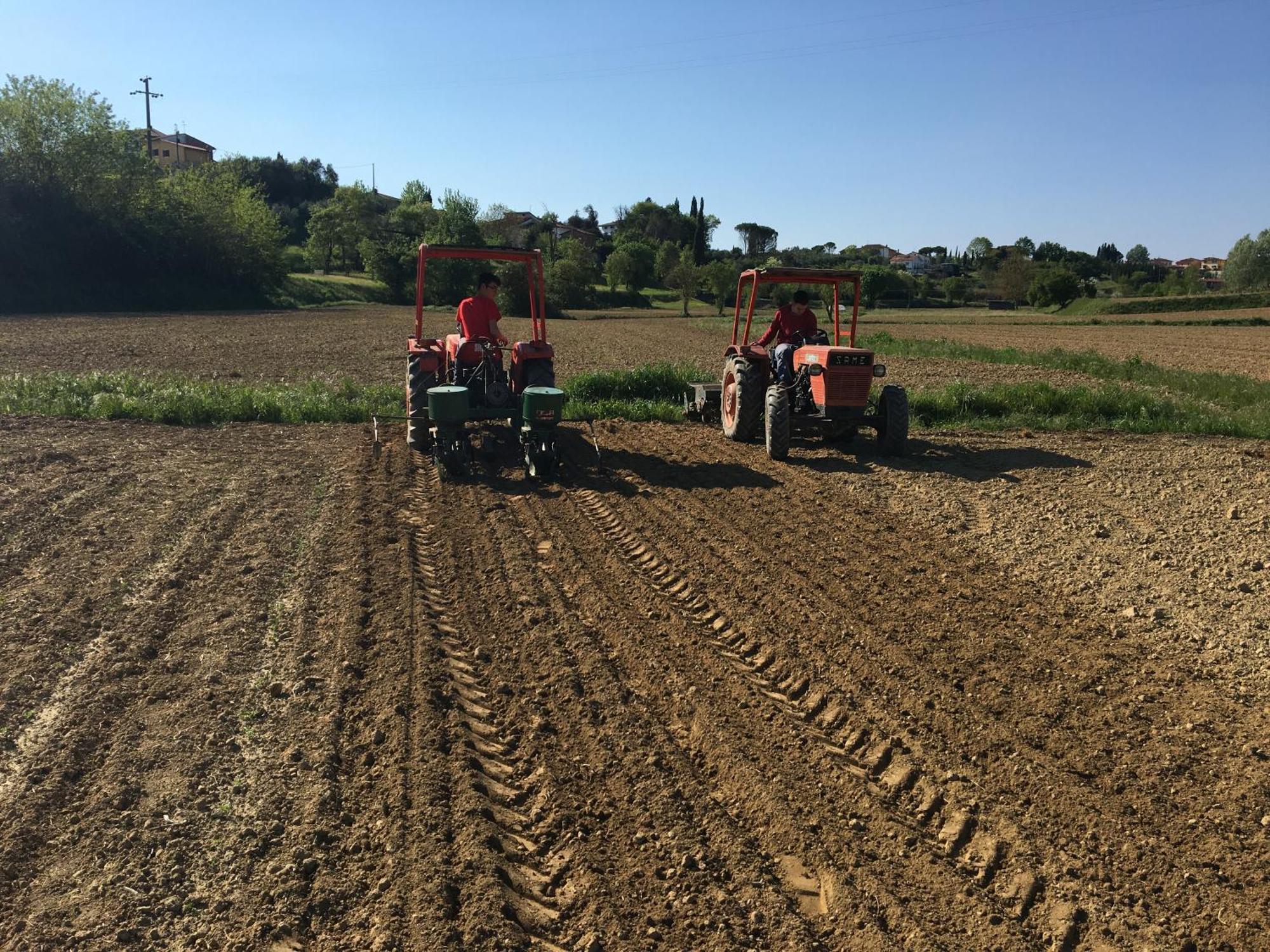 Podere Gian Battaglia Fucecchio Buitenkant foto
